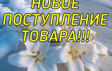 Долгожданное новое поступление товара!!!