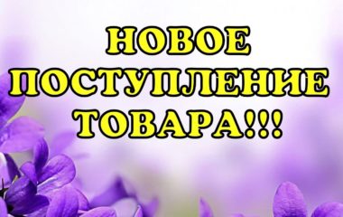 Новое поступление товара!!!